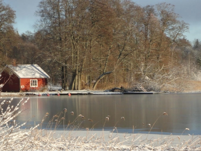 zobacz camping - zdjęcie 8