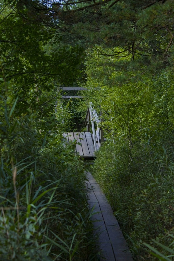 zobacz camping - zdjęcie 14