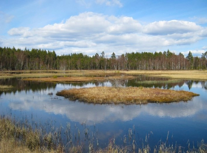 Hätteboda Vildmarkscamping VM - zdjęcie 1