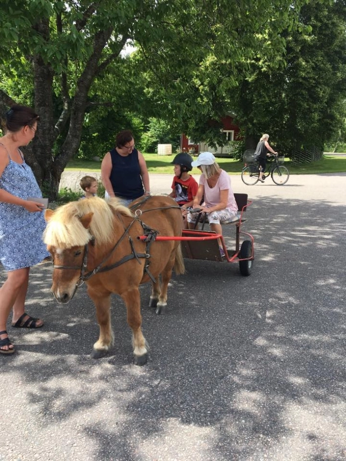zobacz camping - zdjęcie 29