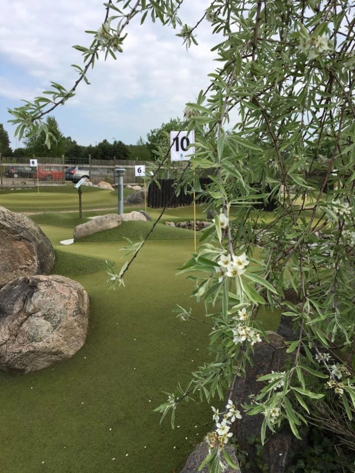 zobacz camping - zdjęcie 22