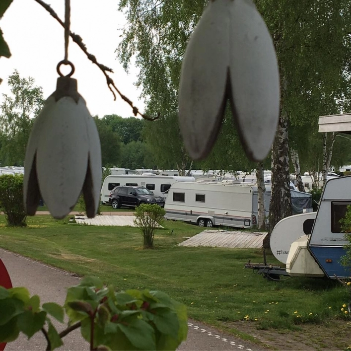 zobacz camping - zdjęcie 21