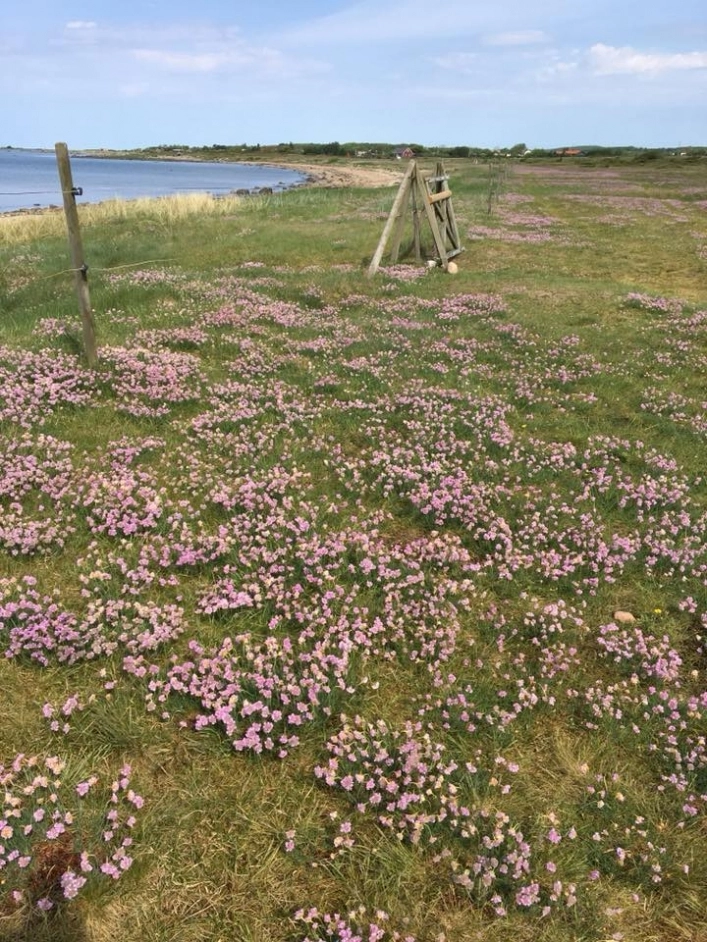 zobacz camping - zdjęcie 18