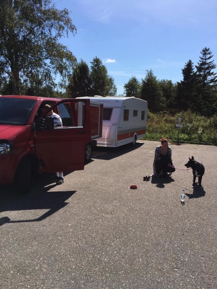 zobacz camping - zdjęcie 13