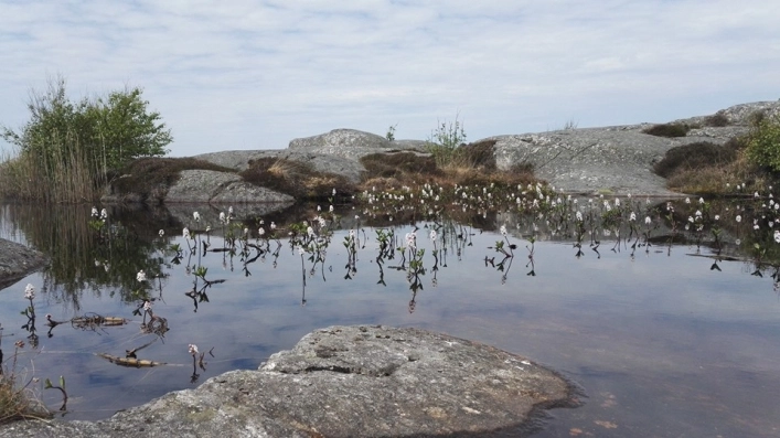 zobacz camping - zdjęcie 11