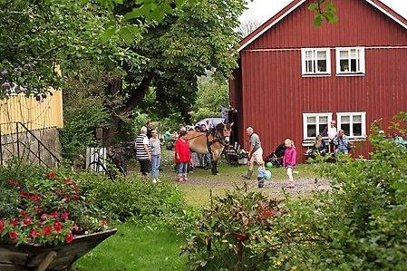 zobacz camping - zdjęcie 10