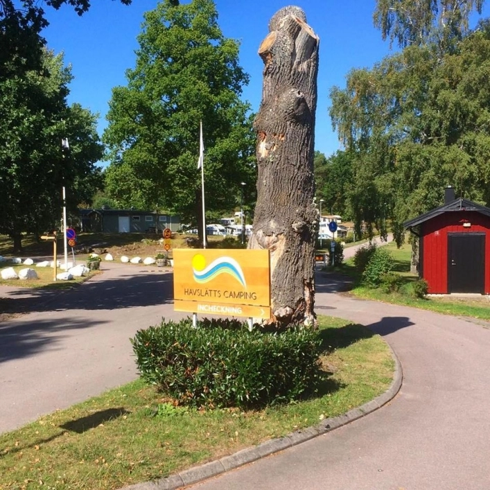 zobacz camping - zdjęcie 16