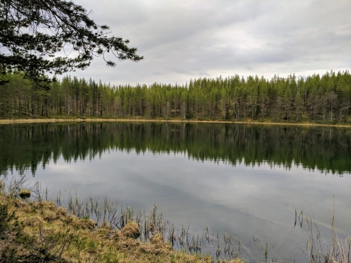 zobacz camping - zdjęcie 33