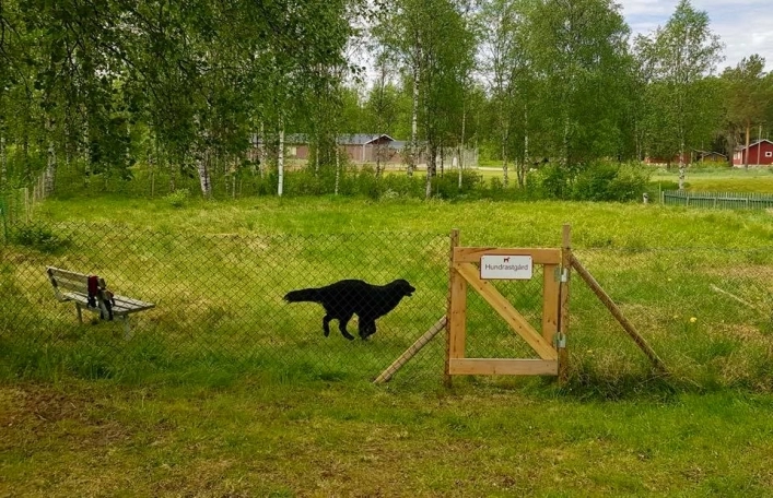 zobacz camping - zdjęcie 21