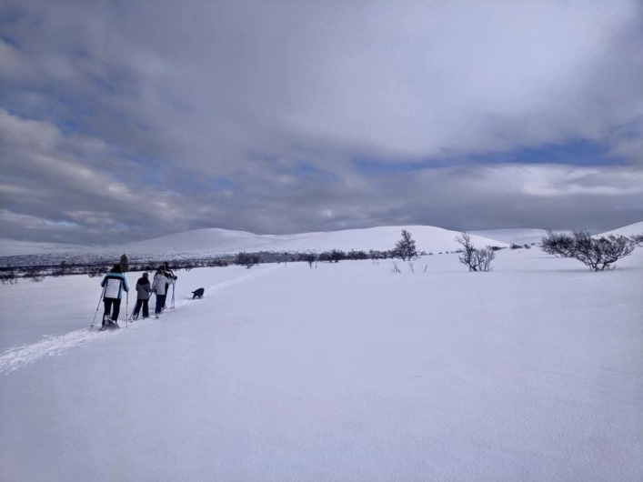 zobacz camping - zdjęcie 20