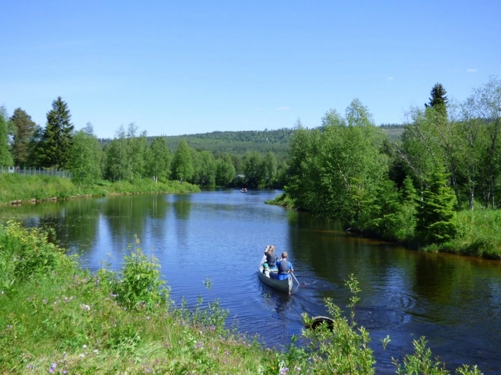 zobacz camping - zdjęcie 16
