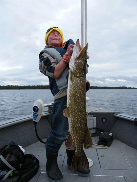 Hedesunda Camping - zdjęcie 4