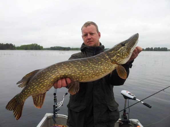 Hedesunda Camping - zdjęcie 1