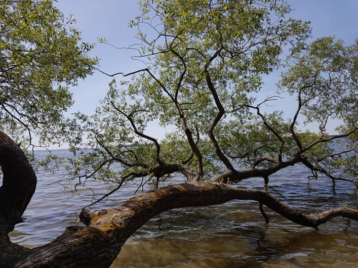 Herrfallets Fritids & Konferensanläggning - zdjęcie 1