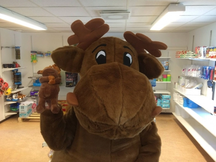 zobacz camping - zdjęcie 2