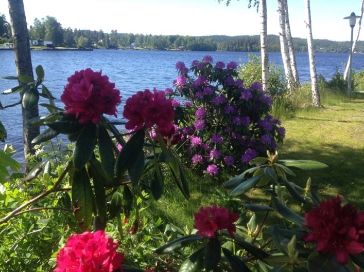 zobacz camping - zdjęcie 16