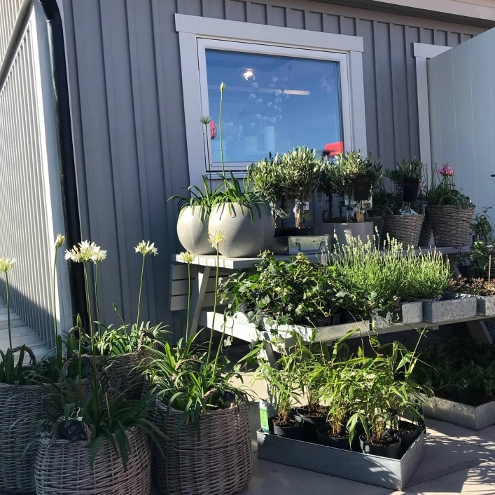 zobacz camping - zdjęcie 22