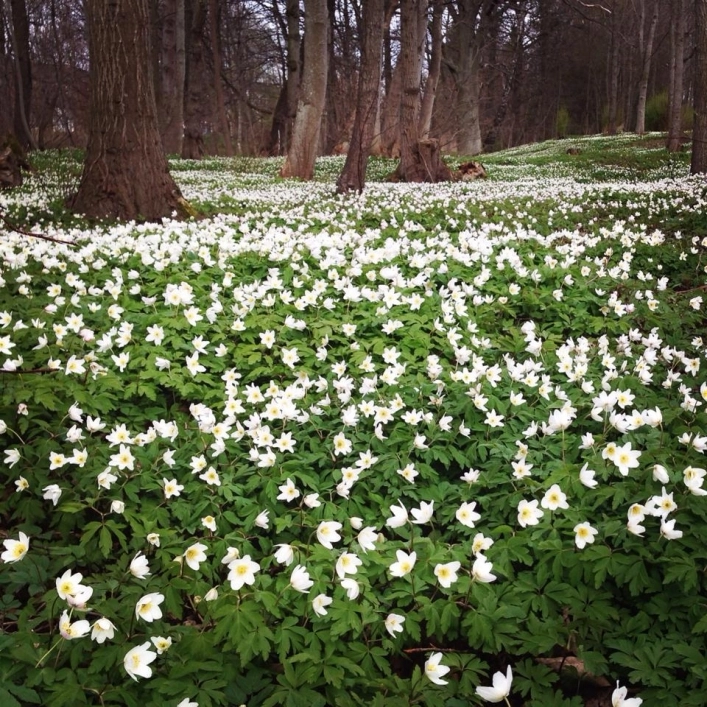 zobacz camping - zdjęcie 19