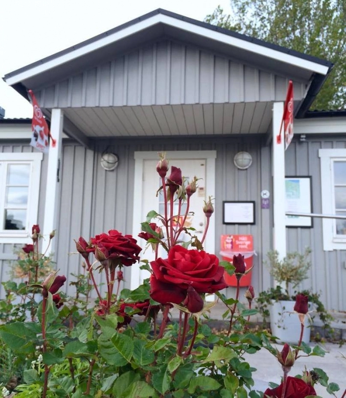 zobacz camping - zdjęcie 11