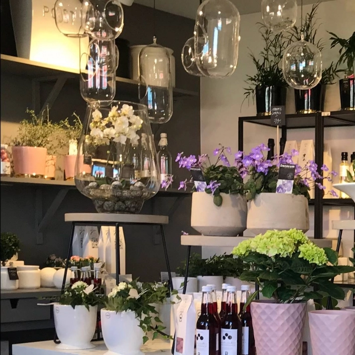 zobacz camping - zdjęcie 10