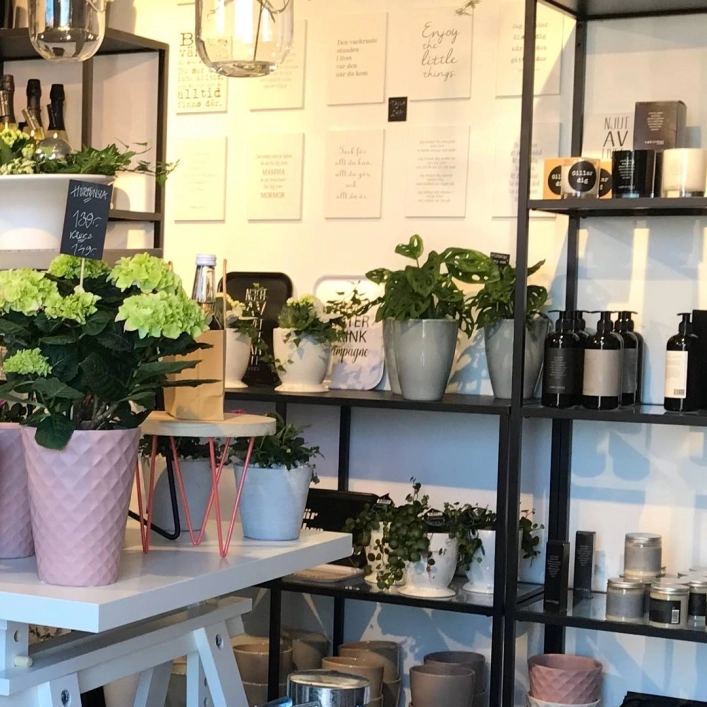 zobacz camping - zdjęcie 8