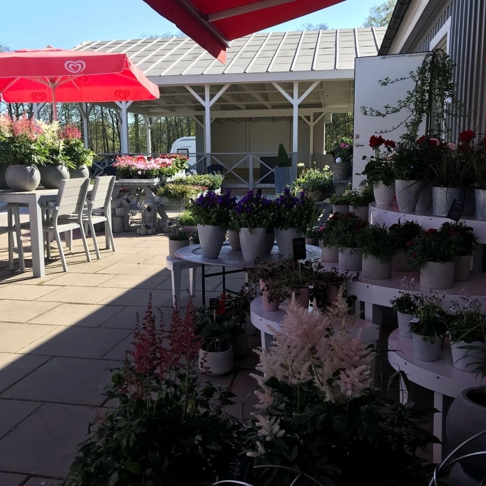 Hjo Camping - zdjęcie 2