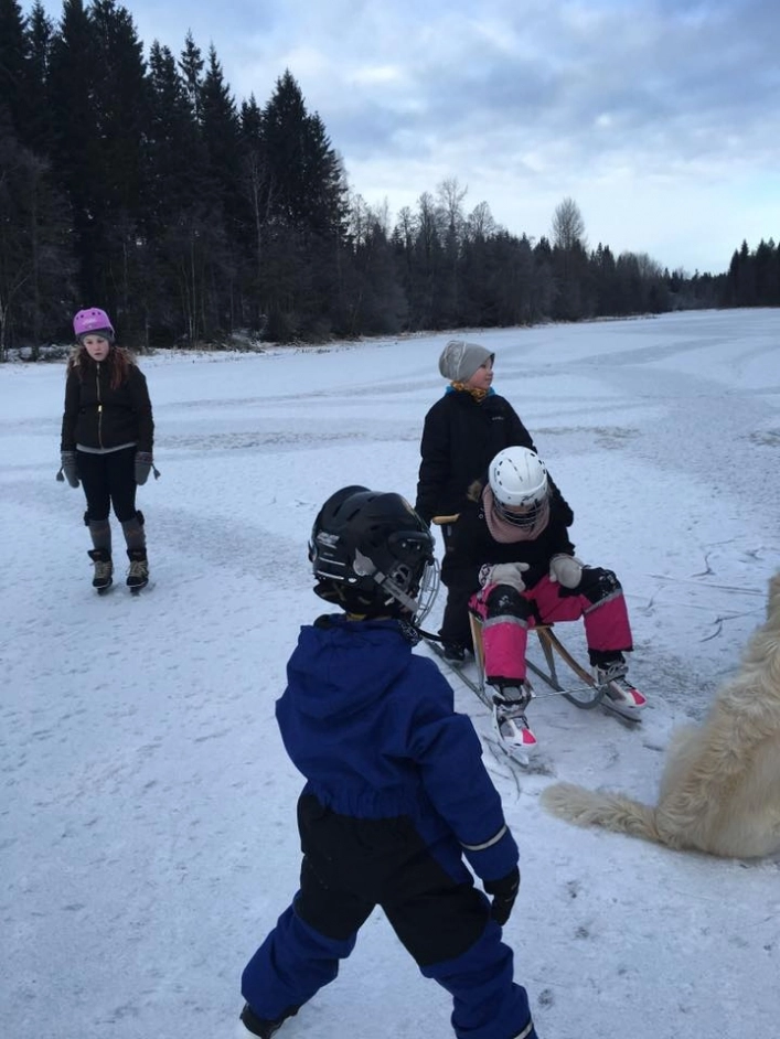 zobacz camping - zdjęcie 27