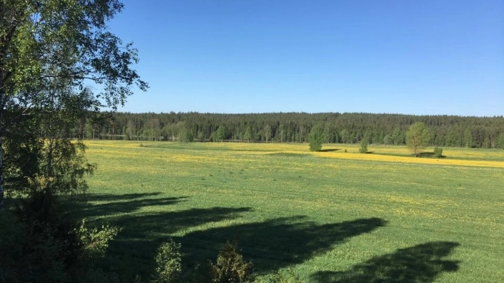 zobacz camping - zdjęcie 17