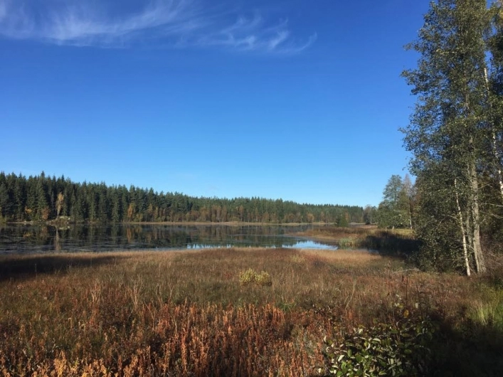 zobacz camping - zdjęcie 6