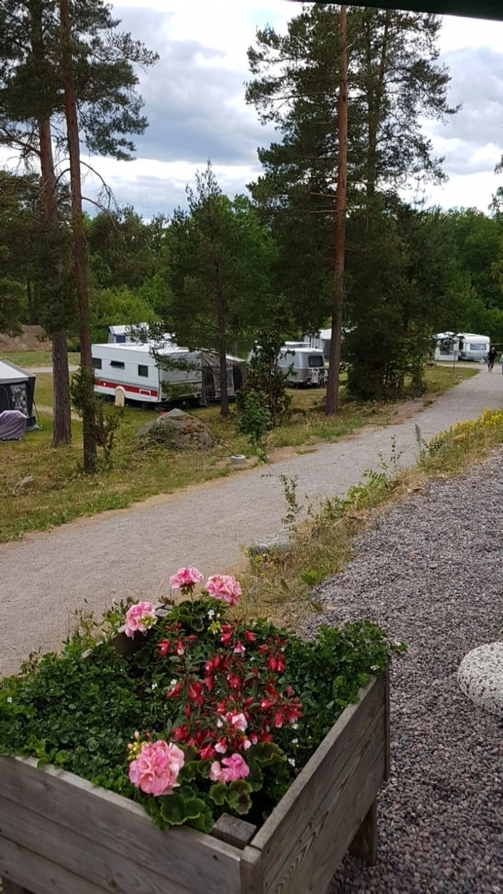 zobacz camping - zdjęcie 16