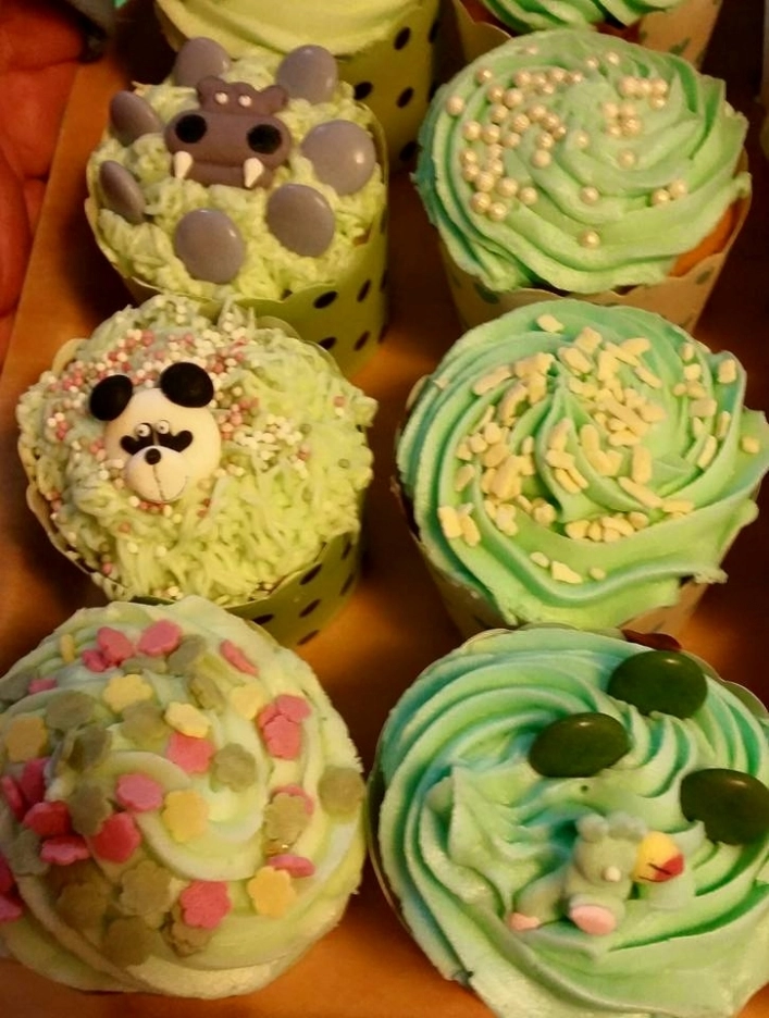 zobacz camping - zdjęcie 15