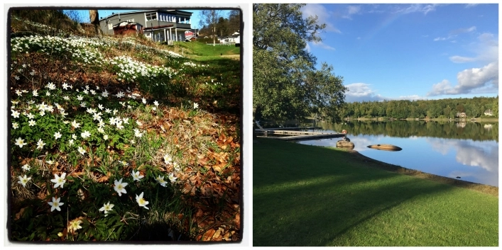 zobacz camping - zdjęcie 29