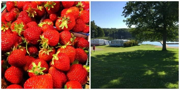 zobacz camping - zdjęcie 16