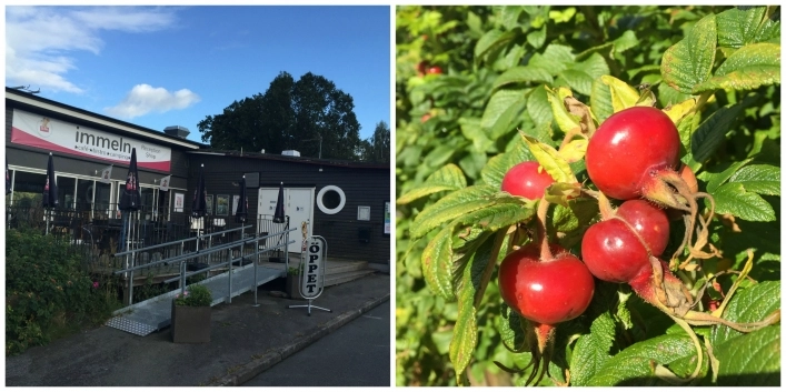 zobacz camping - zdjęcie 3