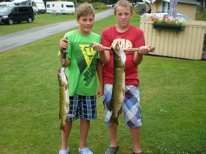 Järnaviks Camping - zdjęcie 1