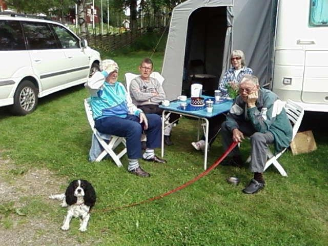 zobacz camping - zdjęcie 14