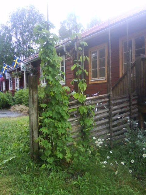 zobacz camping - zdjęcie 10