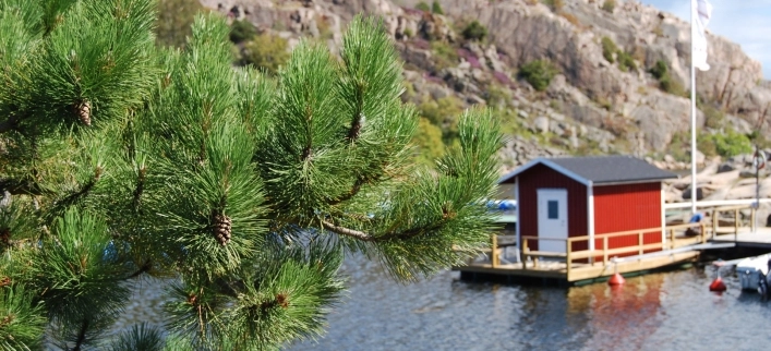 Johannesvik Camping & Stugby - zdjęcie 1