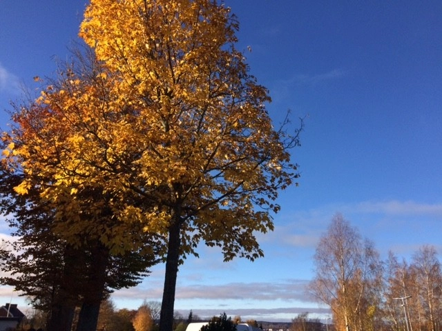 zobacz camping - zdjęcie 3