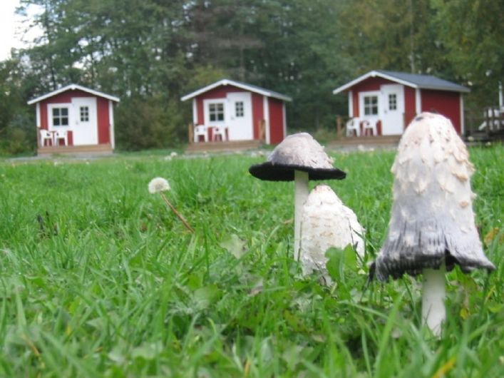 zobacz camping - zdjęcie 11