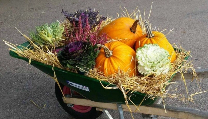 zobacz camping - zdjęcie 12