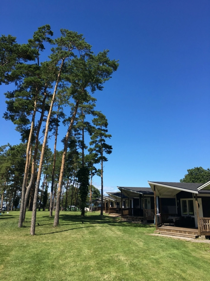 zobacz camping - zdjęcie 3