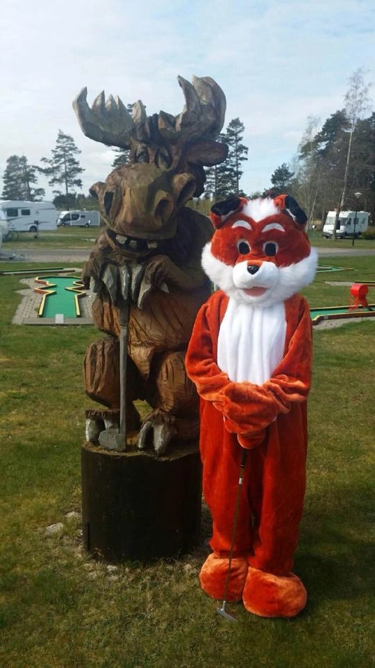 zobacz camping - zdjęcie 45