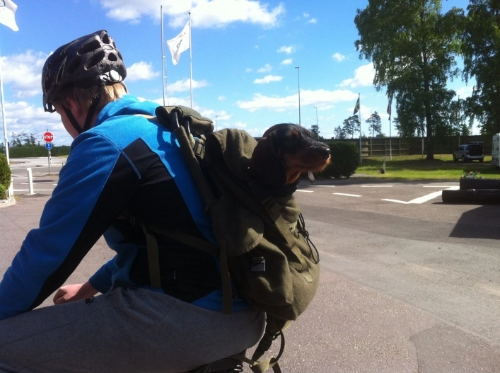 zobacz camping - zdjęcie 14