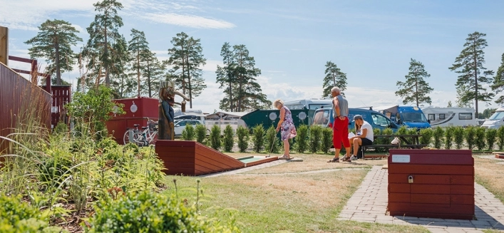 zobacz camping - zdjęcie 12