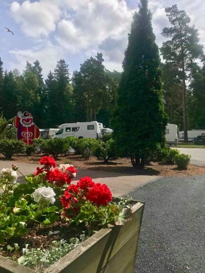 zobacz camping - zdjęcie 6