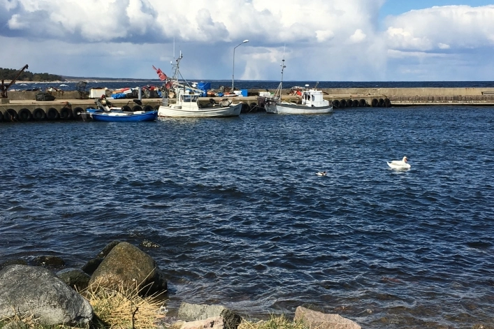 zobacz camping - zdjęcie 19