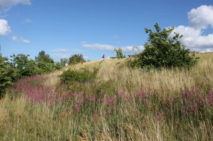 zobacz camping - zdjęcie 14