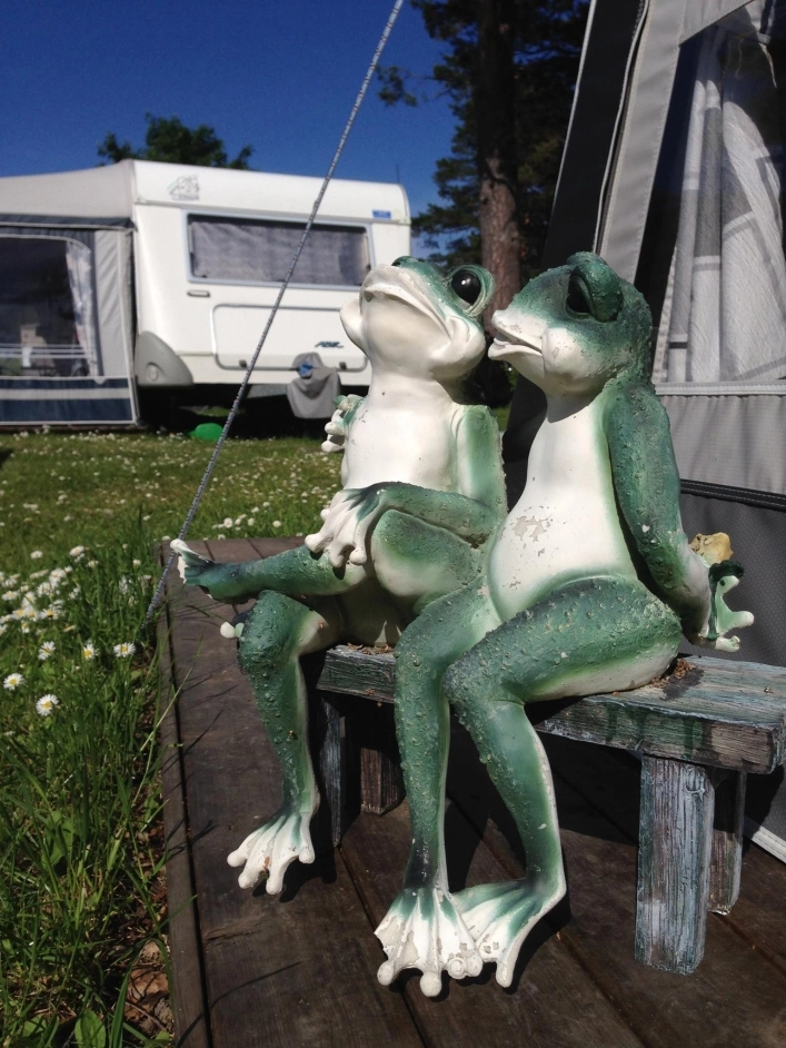 zobacz camping - zdjęcie 9