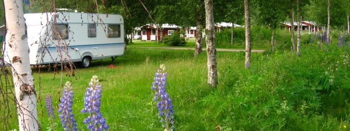 zobacz camping - zdjęcie 2